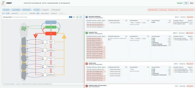 Viable System Model Software VSM7 Walkthrough